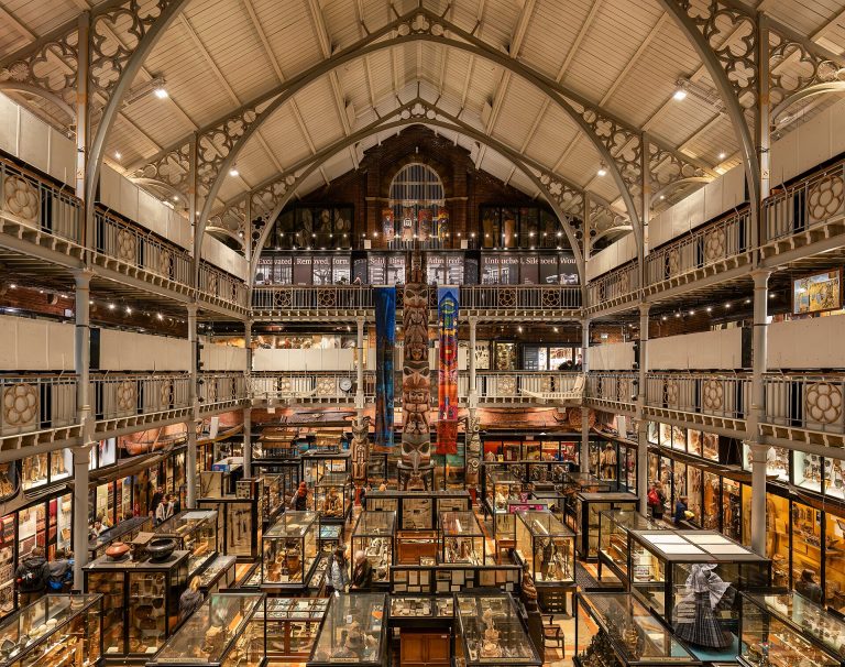 The crowded display cases of the Pitt Rivers Museum